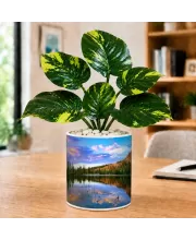 Artificial Tree Ceramic Photo Pot With White Stones 3x4 Inch (F166752)