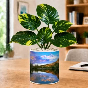 Artificial Tree Ceramic Photo Pot With White Stones 3x4 Inch (F166752) Artificial Tree Ceramic Photo Pot With White Stones 3x4 Inch (F166752)