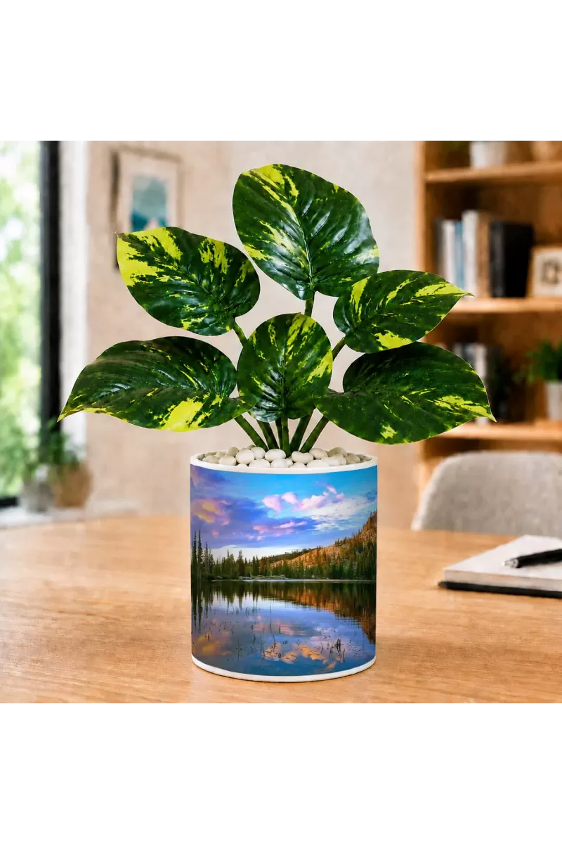 Artificial Tree Ceramic Photo Pot With White Stones 3x4 Inch (F166752)