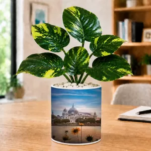 Artificial Tree Ceramic Photo Pot With White Stones 3x4 Inch (F166754) Artificial Tree Ceramic Photo Pot With White Stones 3x4 Inch (F166754)