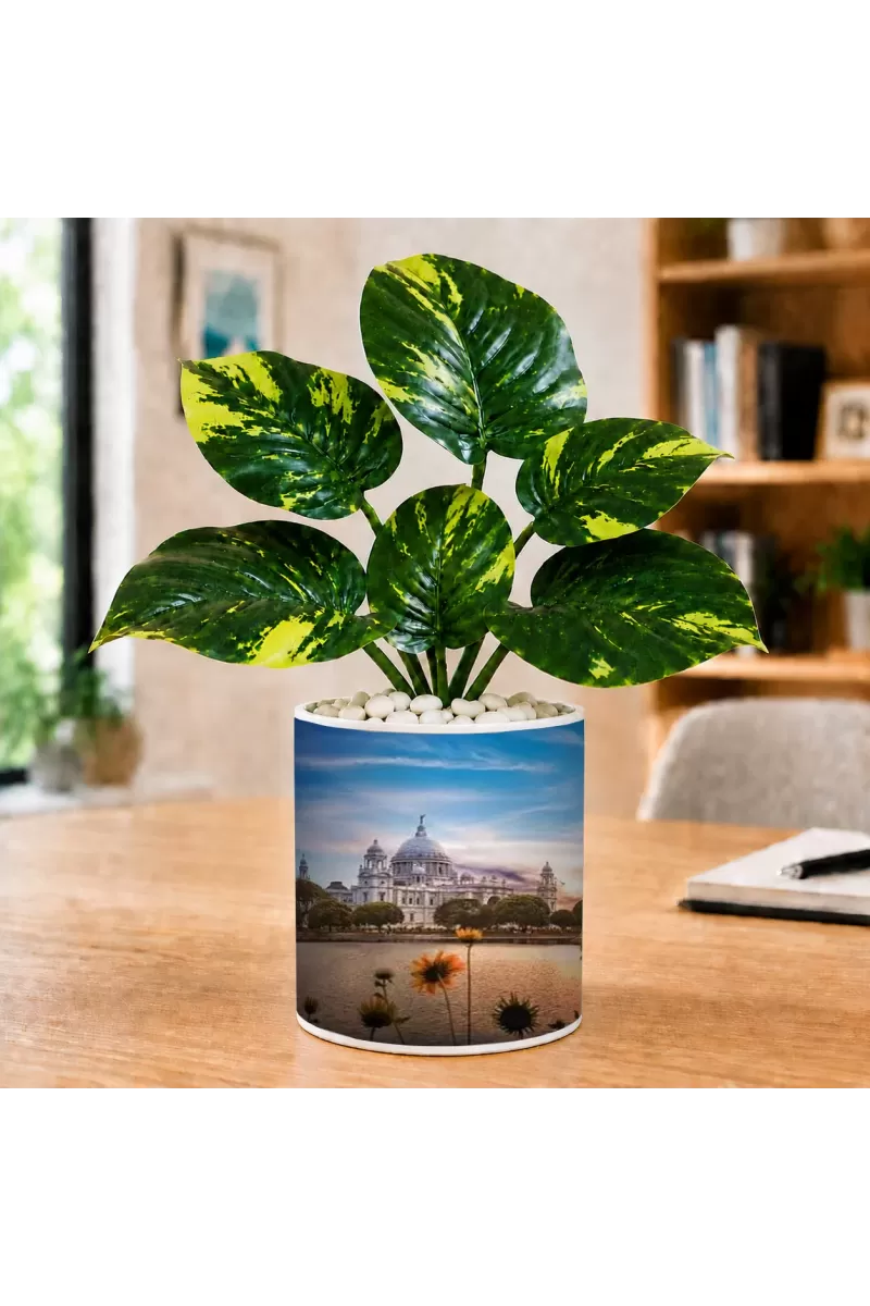 Artificial Tree Ceramic Photo Pot With White Stones 3x4 Inch (F166754)