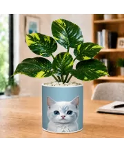 Artificial Tree Ceramic Photo Pot With White Stones 3x4 Inch (F166757)