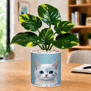 Artificial Tree Ceramic Photo Pot With White Stones 3x4 Inch (F166757) Artificial Tree Ceramic Photo Pot With White Stones 3x4 Inch (F166757)