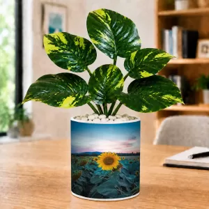 Artificial Tree Ceramic Photo Pot With White Stones 3x4 Inch (F166759) Artificial Tree Ceramic Photo Pot With White Stones 3x4 Inch (F166759)