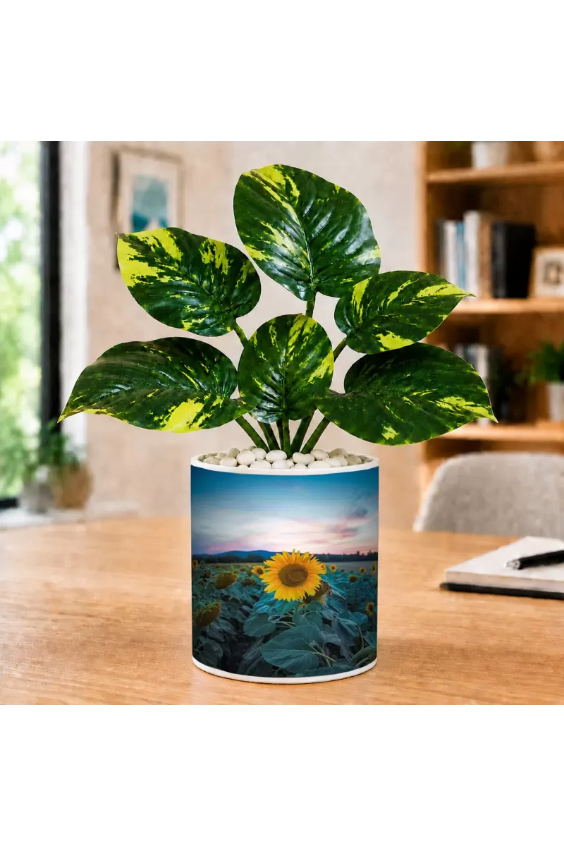 Artificial Tree Ceramic Photo Pot With White Stones 3x4 Inch (F166759)