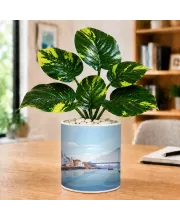 Artificial Tree Ceramic Photo Pot With White Stones 3x4 Inch (F166764)