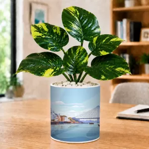Artificial Tree Ceramic Photo Pot With White Stones 3x4 Inch (F166764) Artificial Tree Ceramic Photo Pot With White Stones 3x4 Inch (F166764)