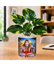 Artificial Tree Ceramic Photo Pot With White Stones 3x4 Inch (F166766)