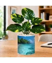 Artificial Tree Ceramic Photo Pot With White Stones 3x4 Inch (F166768)