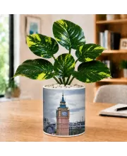 Artificial Tree Ceramic Photo Pot With White Stones 3x4 Inch (F166769)
