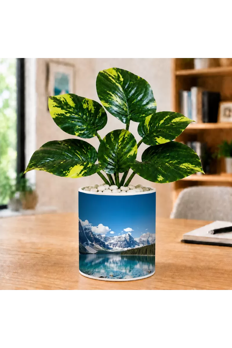 Artificial Tree Ceramic Photo Pot With White Stones 3x4 Inch (F166774)