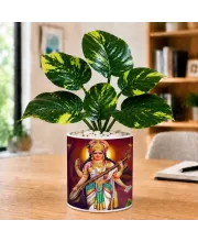Artificial Tree Ceramic Photo Pot With White Stones 3x4 Inch (F166778)