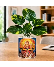 Artificial Tree Ceramic Photo Pot With White Stones 3x4 Inch (F166783)
