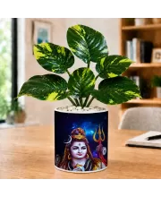 Artificial Tree Ceramic Photo Pot With White Stones 3x4 Inch (F166789)
