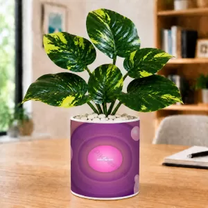 Artificial Tree Ceramic Photo Pot With White Stones 3x4 Inch (F166790) Artificial Tree Ceramic Photo Pot With White Stones 3x4 Inch (F166790)
