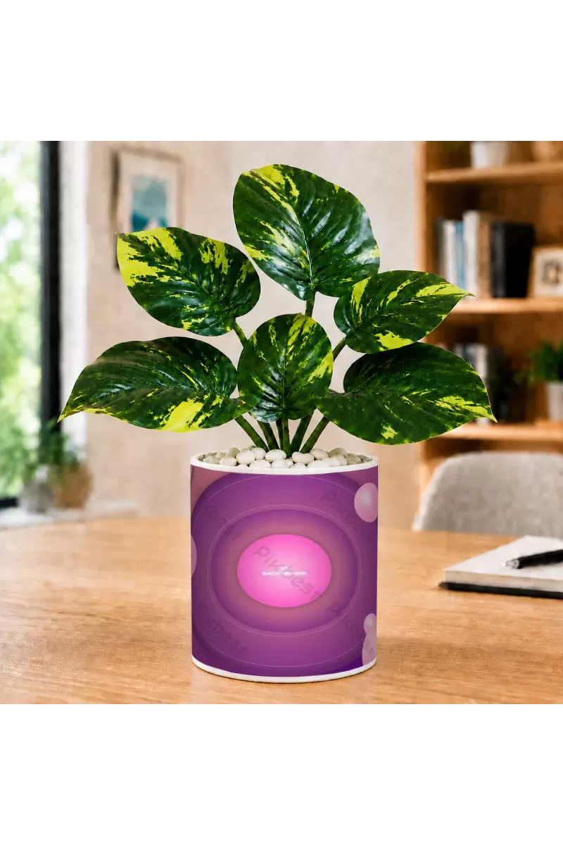 Artificial Tree Ceramic Photo Pot With White Stones 3x4 Inch (F166790)