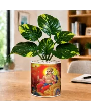 Artificial Tree Ceramic Photo Pot With White Stones 3x4 Inch (F166798)