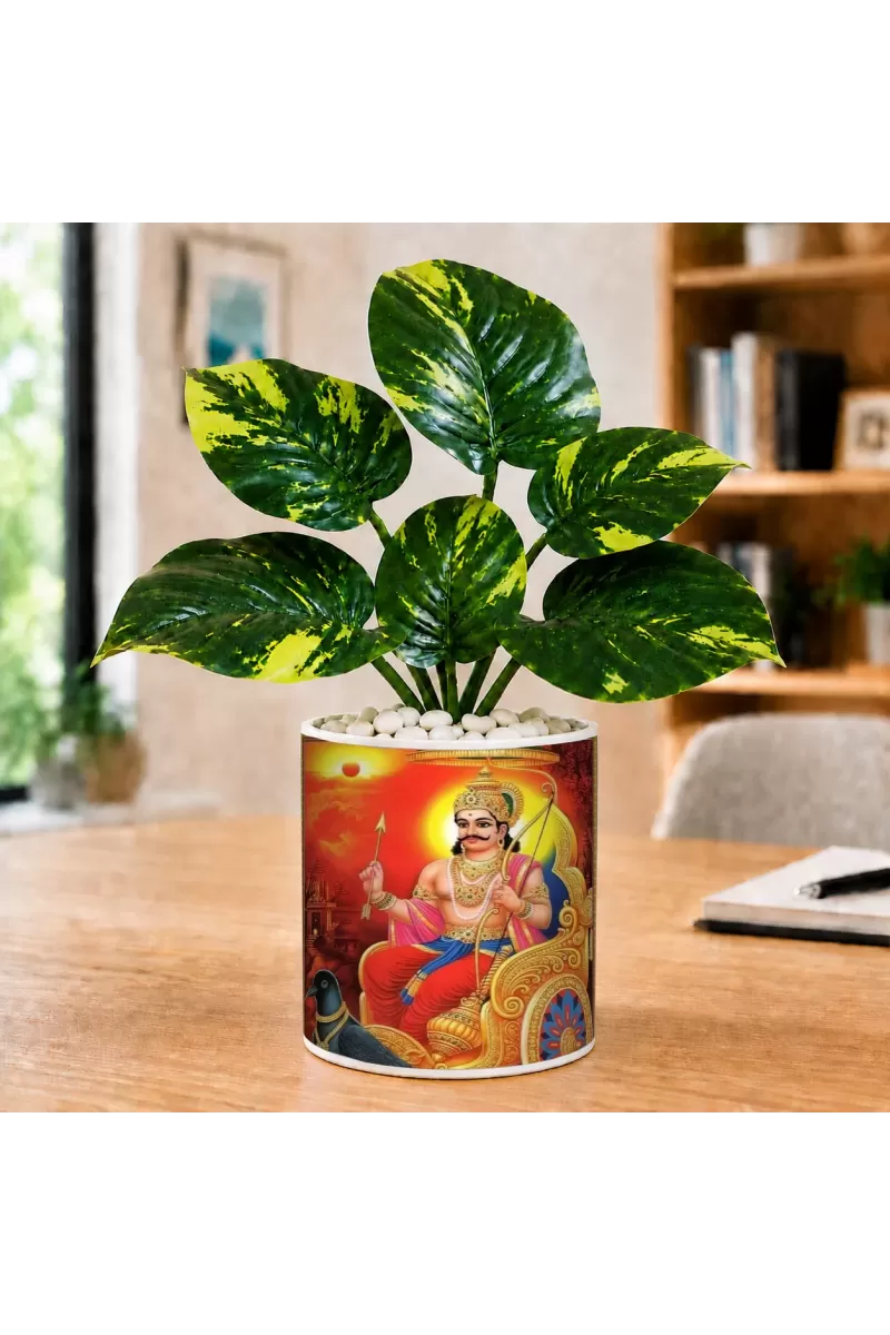 Artificial Tree Ceramic Photo Pot With White Stones 3x4 Inch (F166798)
