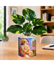 Artificial Tree Ceramic Photo Pot With White Stones 3x4 Inch (F166808)
