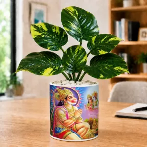 Artificial Tree Ceramic Photo Pot With White Stones 3x4 Inch (F166808) Artificial Tree Ceramic Photo Pot With White Stones 3x4 Inch (F166808)