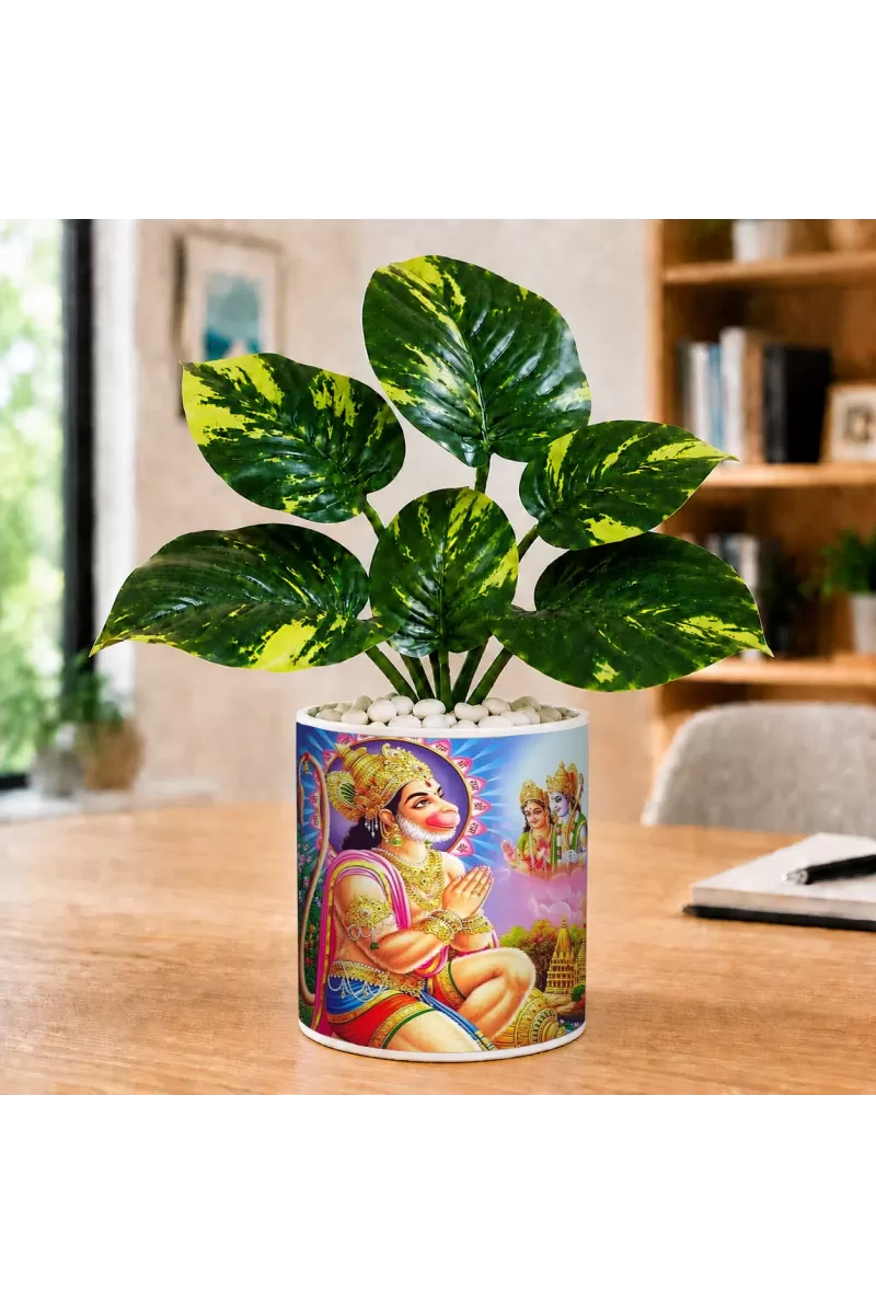 Artificial Tree Ceramic Photo Pot With White Stones 3x4 Inch (F166808)