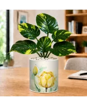 Artificial Tree Ceramic Photo Pot With White Stones 3x4 Inch (F166819)
