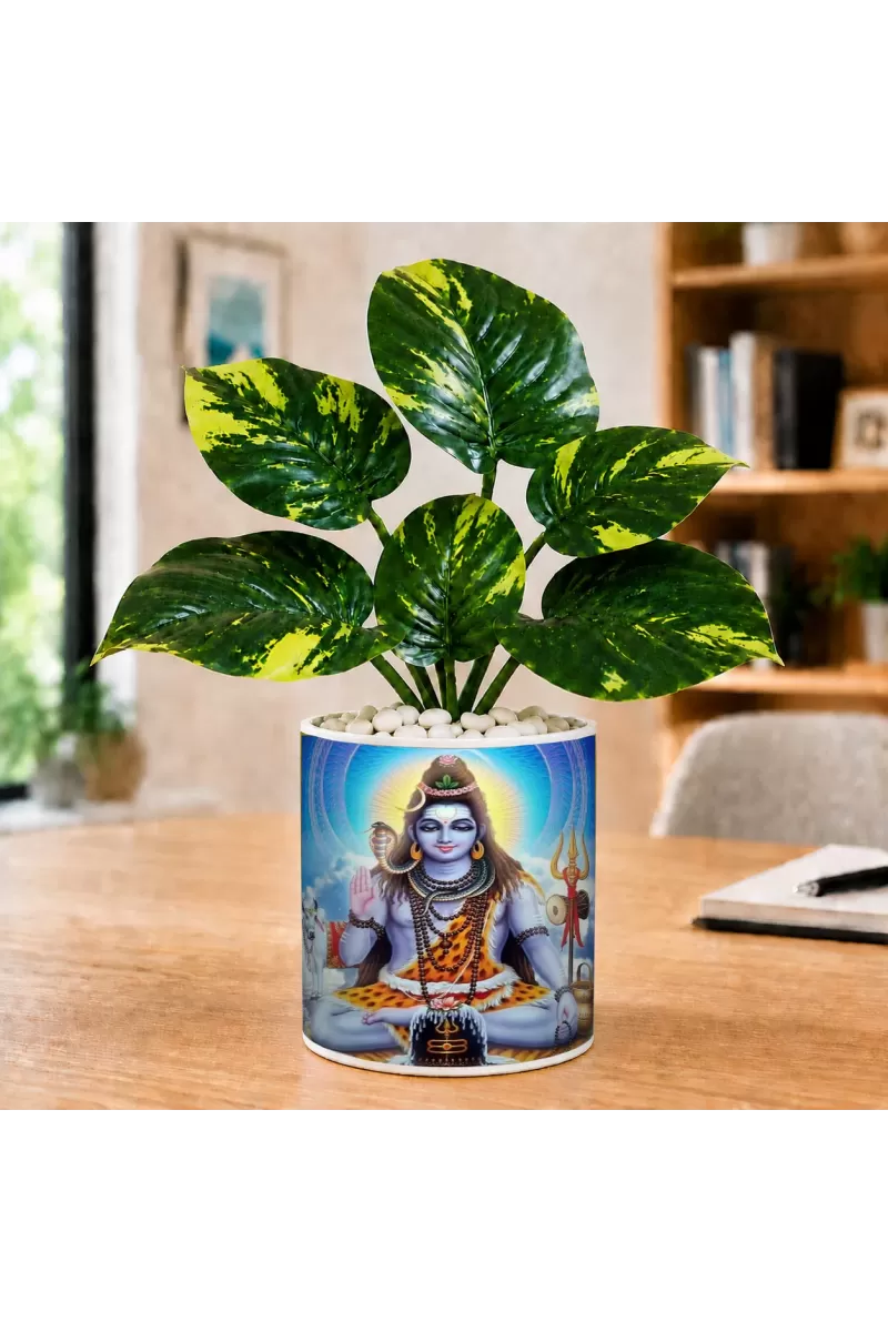 Artificial Tree Ceramic Photo Pot With White Stones 3x4 Inch (F166820)