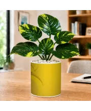 Artificial Tree Ceramic Photo Pot With White Stones 3x4 Inch (F166823)