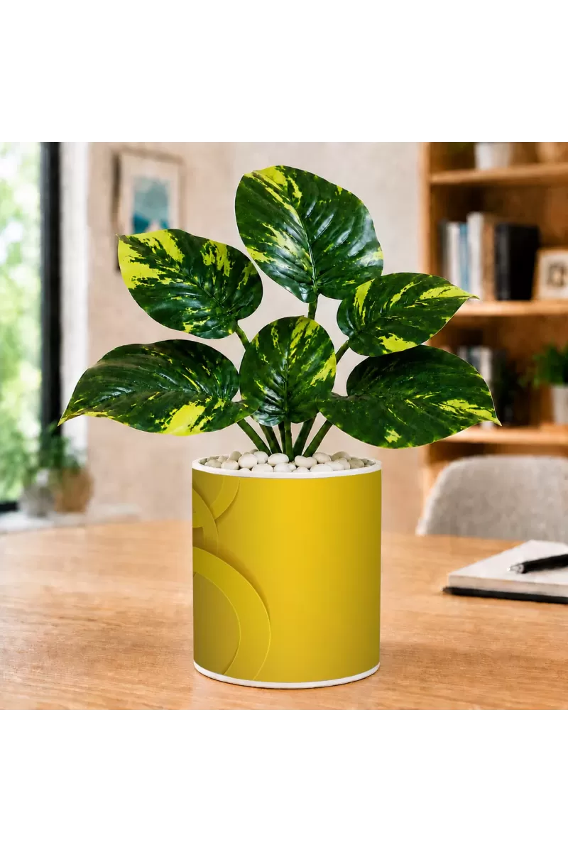 Artificial Tree Ceramic Photo Pot With White Stones 3x4 Inch (F166823)