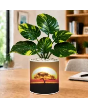 Artificial Tree Ceramic Photo Pot With White Stones 3x4 Inch (F166825)