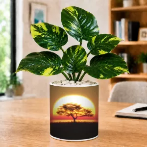 Artificial Tree Ceramic Photo Pot With White Stones 3x4 Inch (F166825) Artificial Tree Ceramic Photo Pot With White Stones 3x4 Inch (F166825)