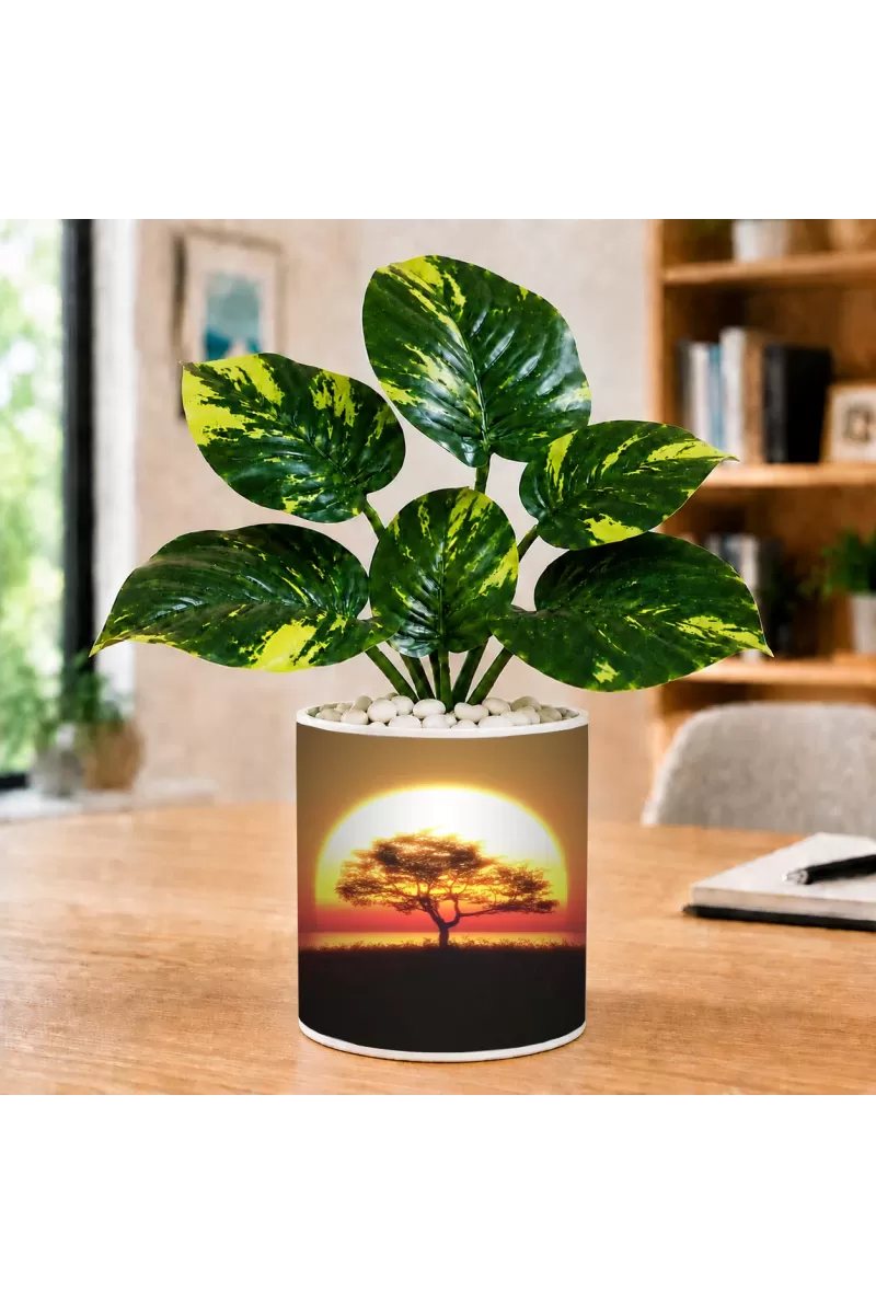 Artificial Tree Ceramic Photo Pot With White Stones 3x4 Inch (F166825)