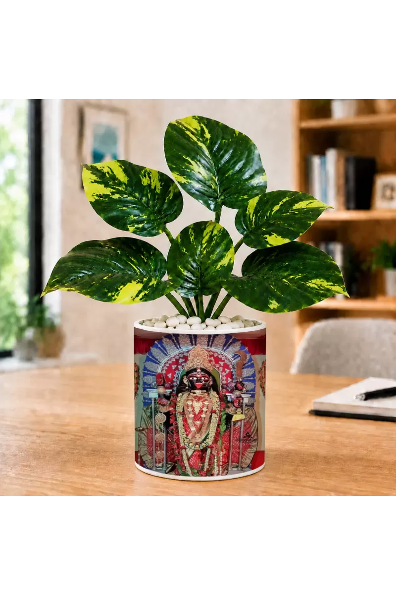 Artificial Tree Ceramic Photo Pot With White Stones 3x4 Inch (F166845)
