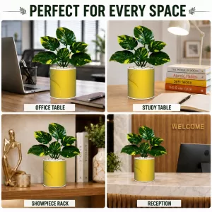 Artificial Tree Ceramic Photo Pot With White Stones 3x4 Inch (F164588) Artificial Tree Ceramic Photo Pot With White Stones 3x4 Inch (F164588)