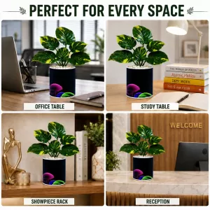Artificial Tree Ceramic Photo Pot With White Stones 3x4 Inch (F164646) Artificial Tree Ceramic Photo Pot With White Stones 3x4 Inch (F164646)