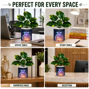 Artificial Tree Ceramic Photo Pot With White Stones 3x4 Inch (F164765) Artificial Tree Ceramic Photo Pot With White Stones 3x4 Inch (F164765)