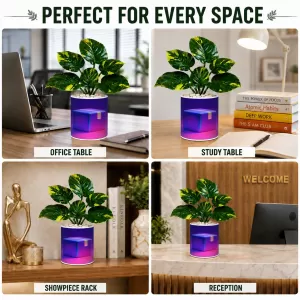 Artificial Tree Ceramic Photo Pot With White Stones 3x4 Inch (F165175) Artificial Tree Ceramic Photo Pot With White Stones 3x4 Inch (F165175)
