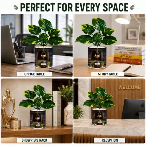 Artificial Tree Ceramic Photo Pot With White Stones 3x4 Inch (F165322) Artificial Tree Ceramic Photo Pot With White Stones 3x4 Inch (F165322)