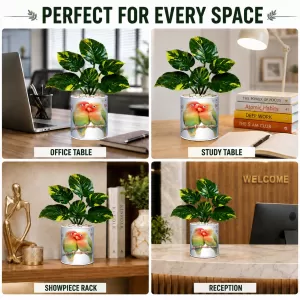 Artificial Tree Ceramic Photo Pot With White Stones 3x4 Inch (F165656)
