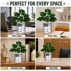 Artificial Tree Ceramic Photo Pot With White Stones 3x4 Inch (F166081) Artificial Tree Ceramic Photo Pot With White Stones 3x4 Inch (F166081)